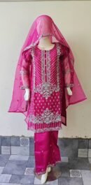 3 PCs Organza Ready to Wear for Girls and Women